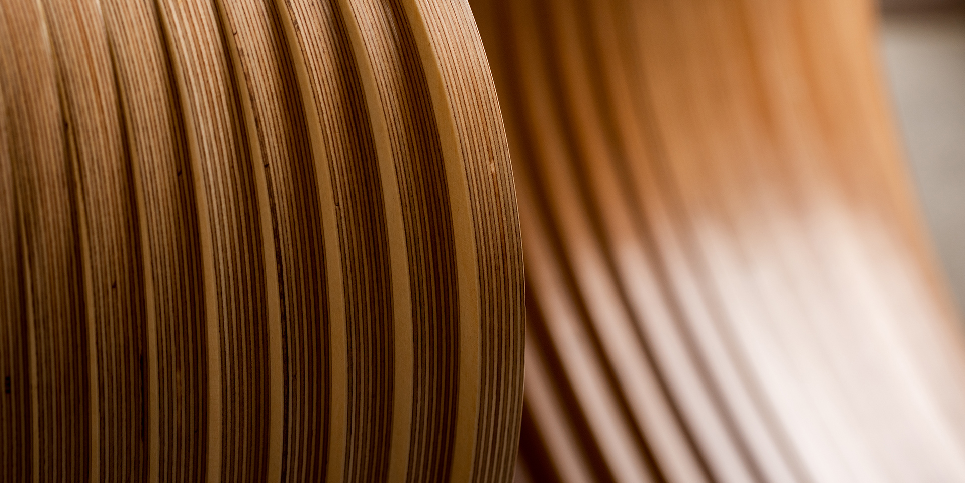 The exposed striated edge of layered Baltic birch